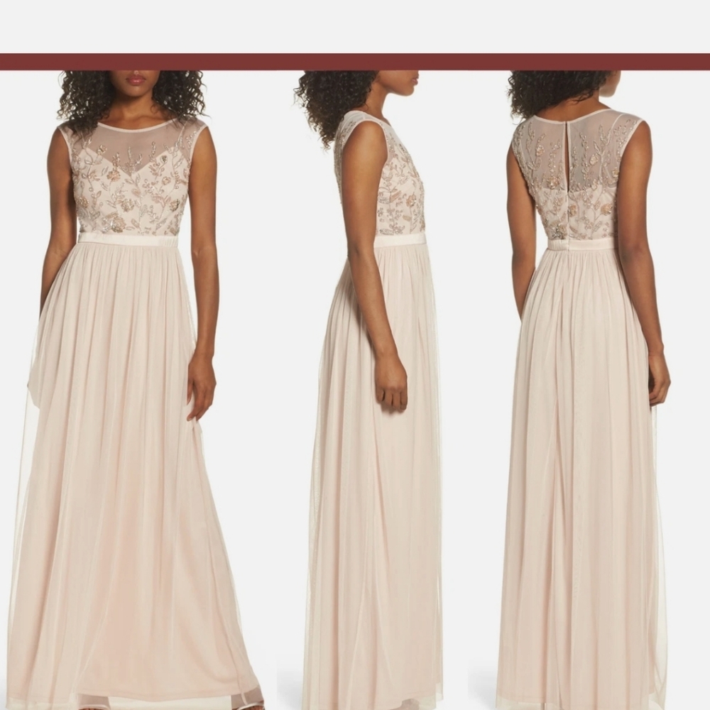 Adrianna Papell Blush Embroidered Maxi Dress